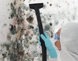 Why You Should Choose Our Mold Remediation Services in Camanche Village, CA